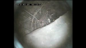 Chimney flue blocked by birds nest | Chimney CCTV finds birds nest in flue